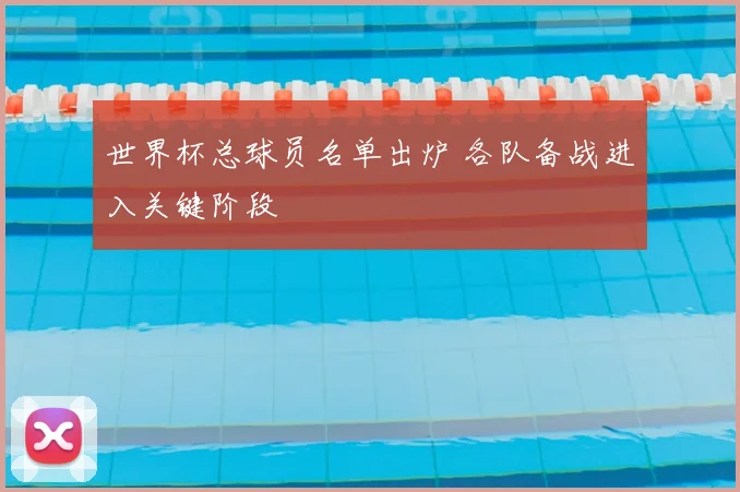 世界杯总球员名单出炉 各队备战进入关键阶段