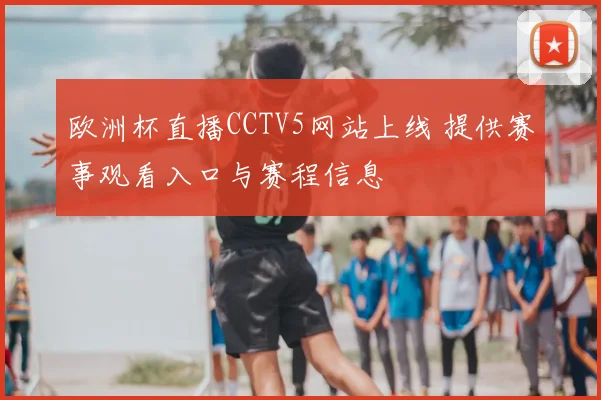 欧洲杯直播CCTV5网站上线 提供赛事观看入口与赛程信息