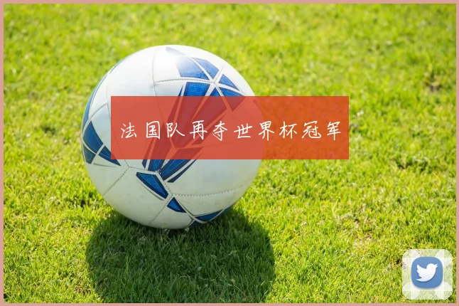 法国队再夺世界杯冠军