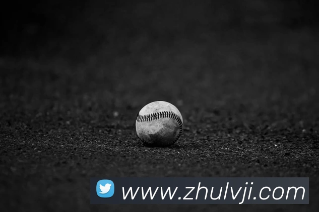 星空体育中国官方网站平台生态图